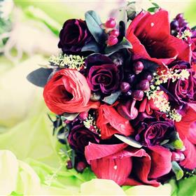 fwthumbRings, cakes, flowers-0001.jpg